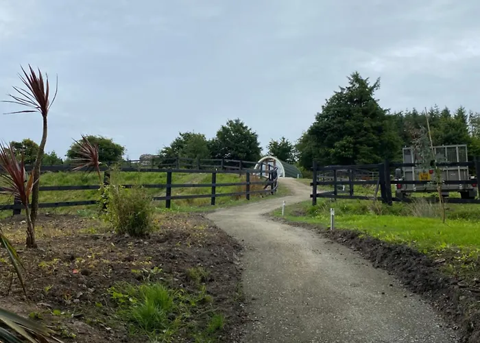 Kingsford Pod Wexford